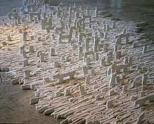 Image copyright 2004- Patrick James Sweeney